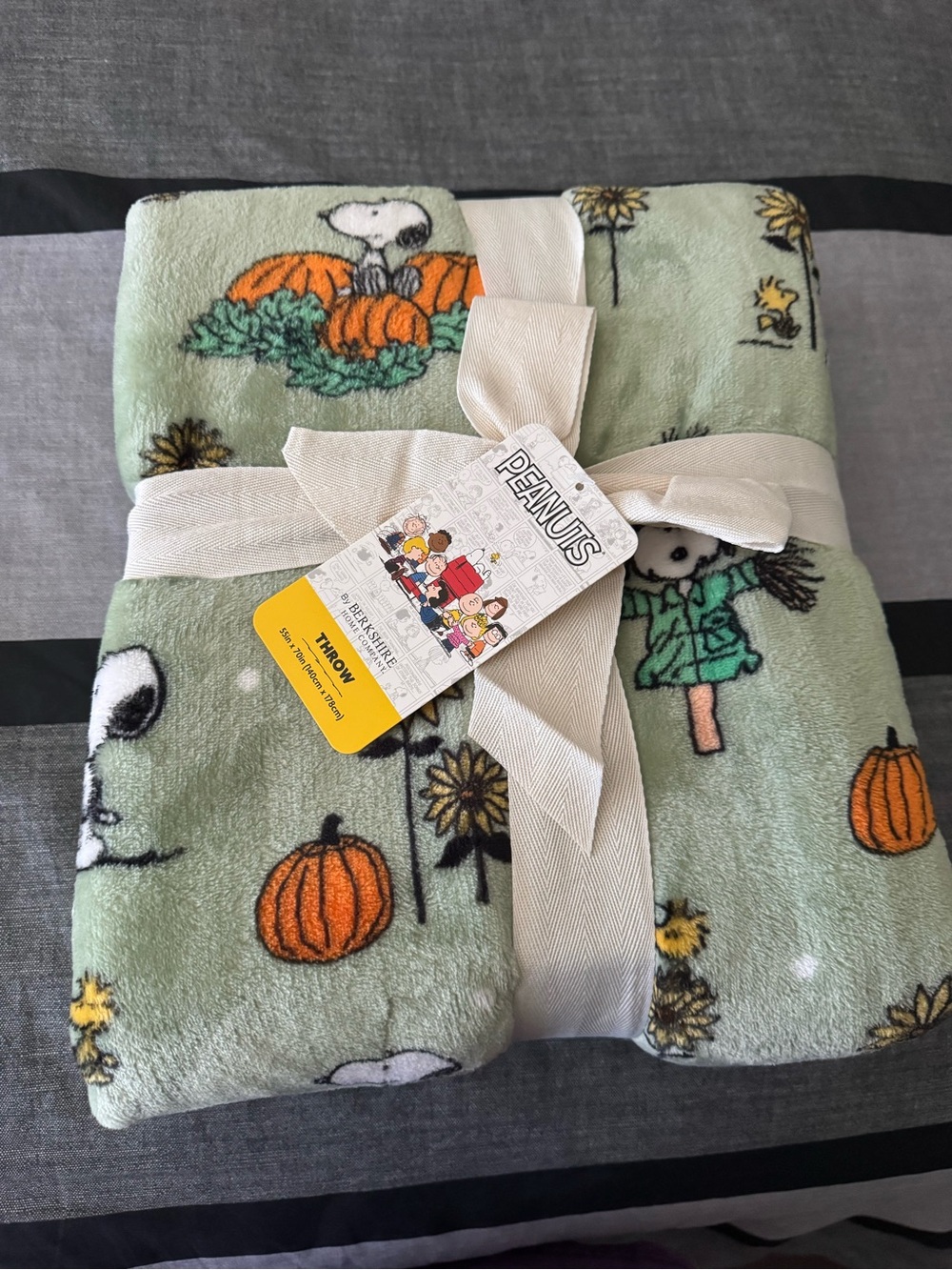 Peanuts Mint Green Plush Throw Blanket with Snoopy & Pumpkin Motif